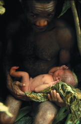An Efe father holds his newborn outside a leaf hut. The Efe are mobile hunters and gatherers who build new shelters whenever they shift camps within the rain forest.