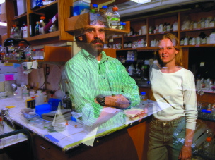 Postdocs Tristan Darland (left) and Pamela Kainz at HarvardÕs Biological Laboratories.