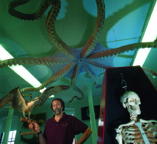 Peter Money, director of education, in a museum classroom used by schoolchildren. He holds an osprey. Above him hangs a presumably life-size model of a Pacific Ocean octopus with arms 16 feet long, made at Yale in the early 1880s primarily of papier-mch?. In the foreground is Seymour (say the name slowly) the Skeleton. 