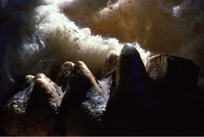 A tooth of a fossil mastodon, Mastodon americanus, masquerading as a mountain range.