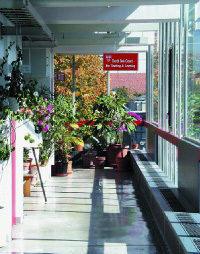 Bok Center, atrium entrance