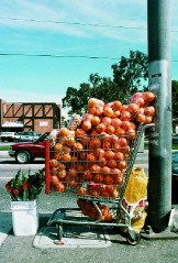 A shopping cart of oranges offered for sale on