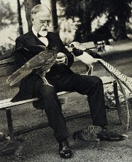 Grenville Winthrop feeding his pheasants at Groton Place, his summer home in Lenox, Massachusetts.