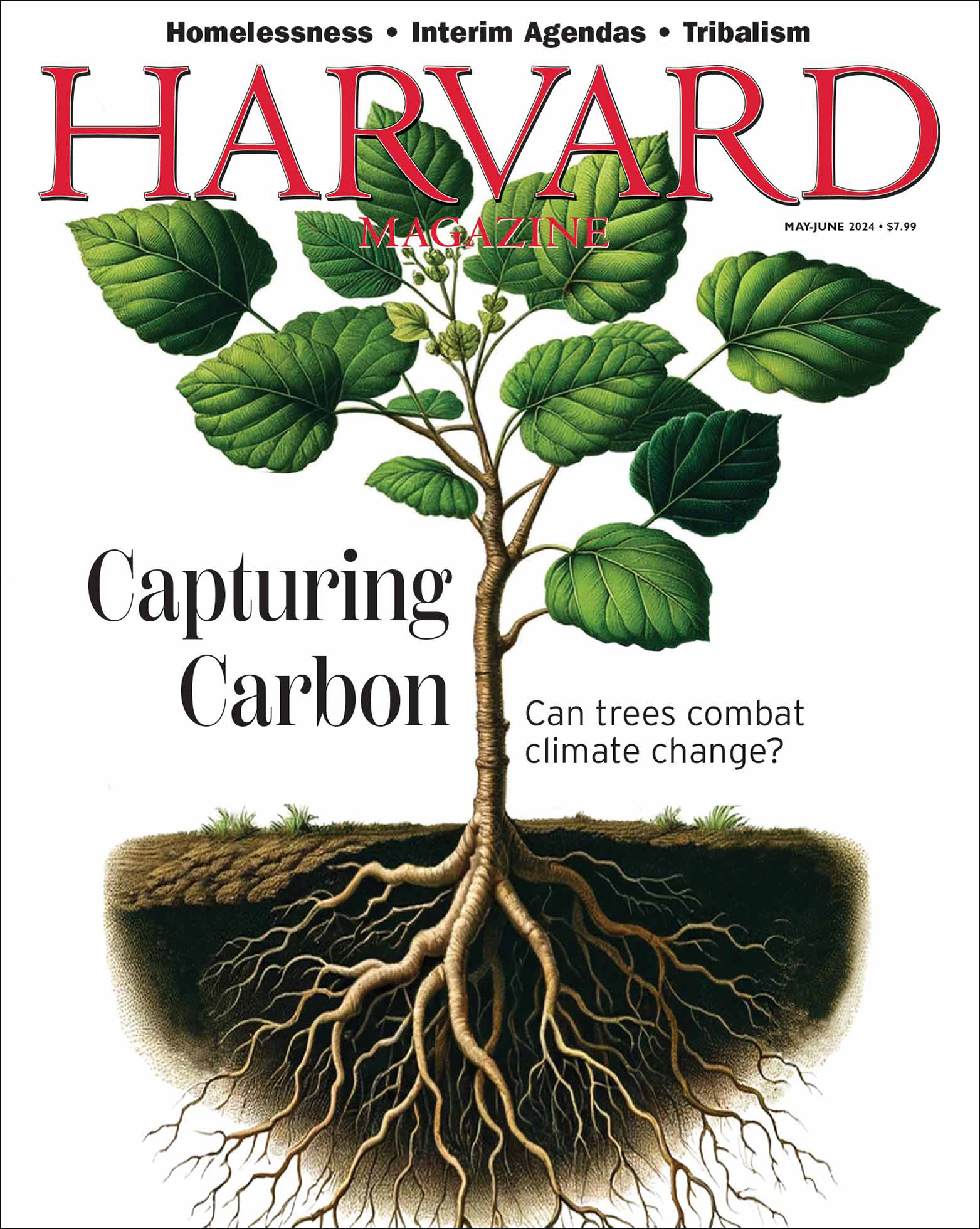 May-June 2024 | Harvard Magazine