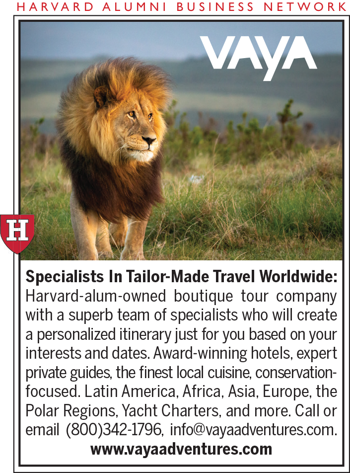 A travel advertisement for Vaya Adventures, a Harvard-alum-owned boutique tour company, featuring a lion in the wild. The ad highlights tailor-made travel experiences worldwide, including Latin America, Africa, Asia, Europe, and the Polar Regions.