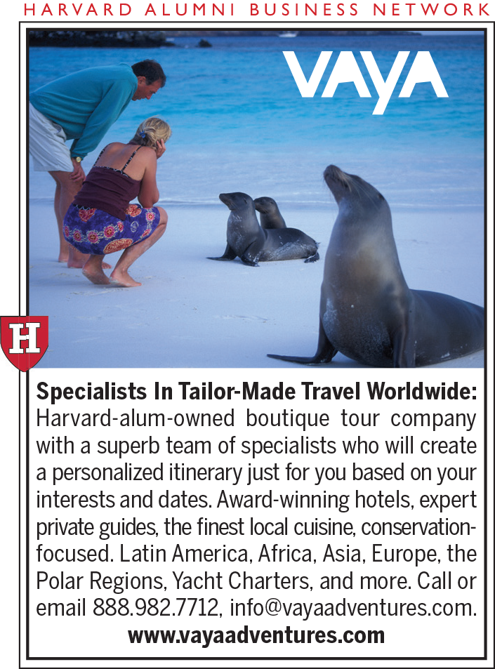 A couple crouches on a white sandy beach to observe three playful sea lions near the water's edge. The image promotes Vaya Adventures, a Harvard-alum-owned boutique travel company specializing in custom travel worldwide. Text details personalized itineraries, expert guides, fine local cuisine, and destinations including Latin America, Africa, Asia, Europe, and the Polar Regions. Contact info and website included.
