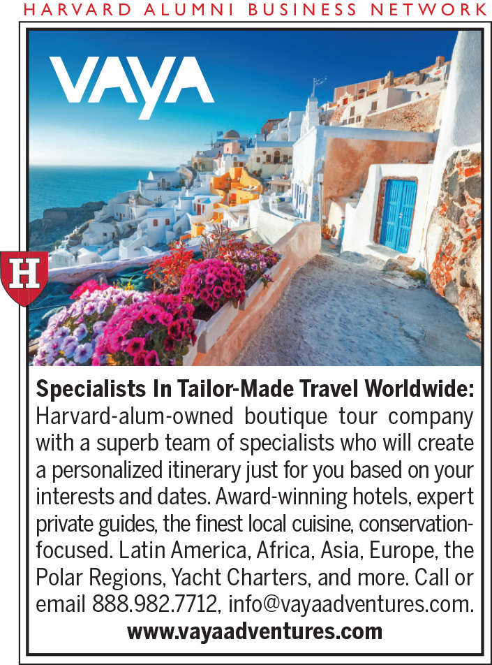 A colorful advertisement for VAYA, a boutique travel company with a scenic background and text details.