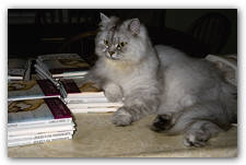 A hitherto unpublished photograph of Dr. Winnicat himself.