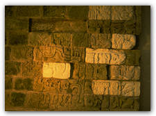 A wall from Temple 26, with casts (in white) of original stones taken to Harvard's Peabody Museum in the 1930s. Carved in two different scripts, the wall is the Mayan equivalent of the Rosetta stone.