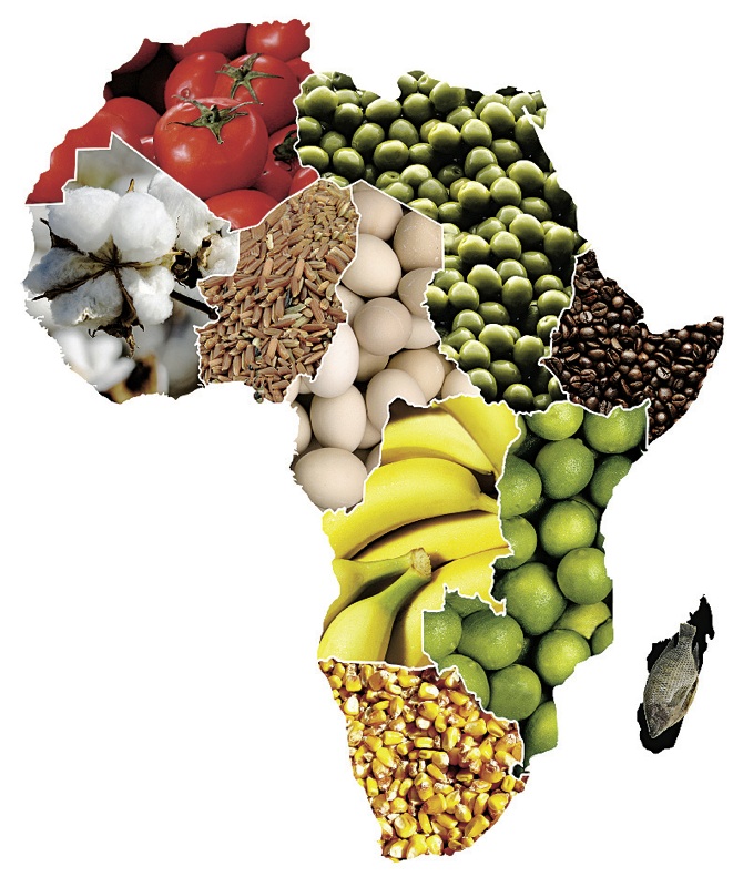 Calestous Juma promotes African agriculture Harvard Magazine