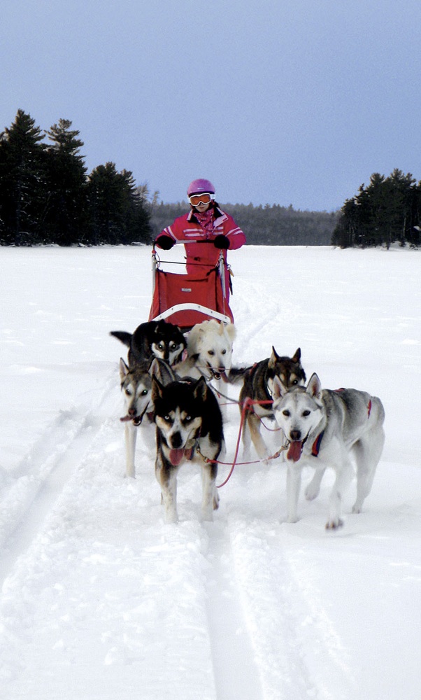Skydiving, bouldering, dog sledding, and hiking New England has it all