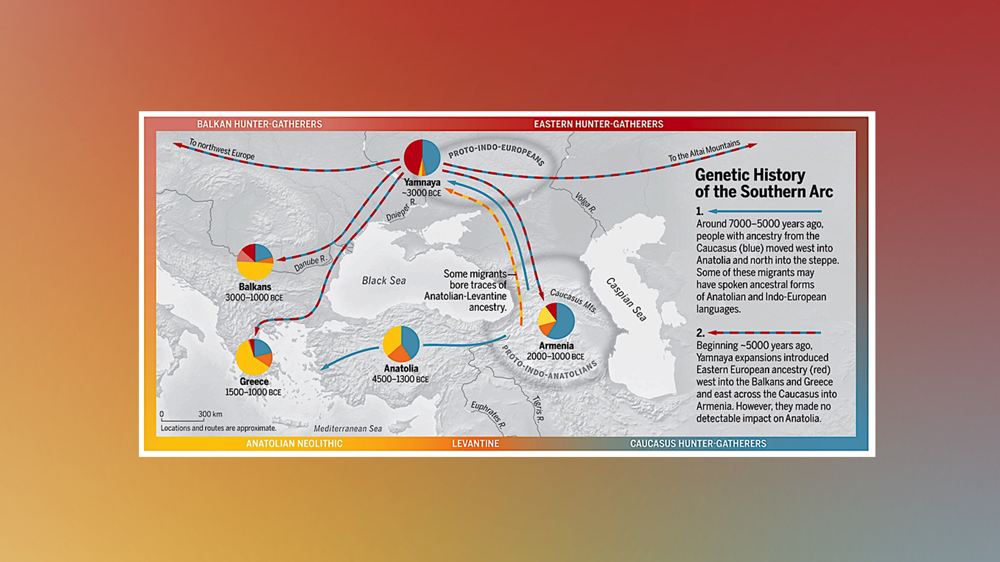 the proto indo european language family originated in