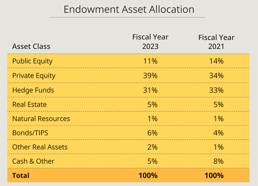 Chart showing endowment asset allocation, fiscal year 2023 vs. 2021