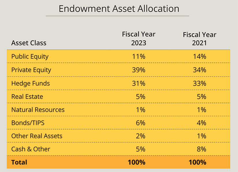 Endowment performance chart