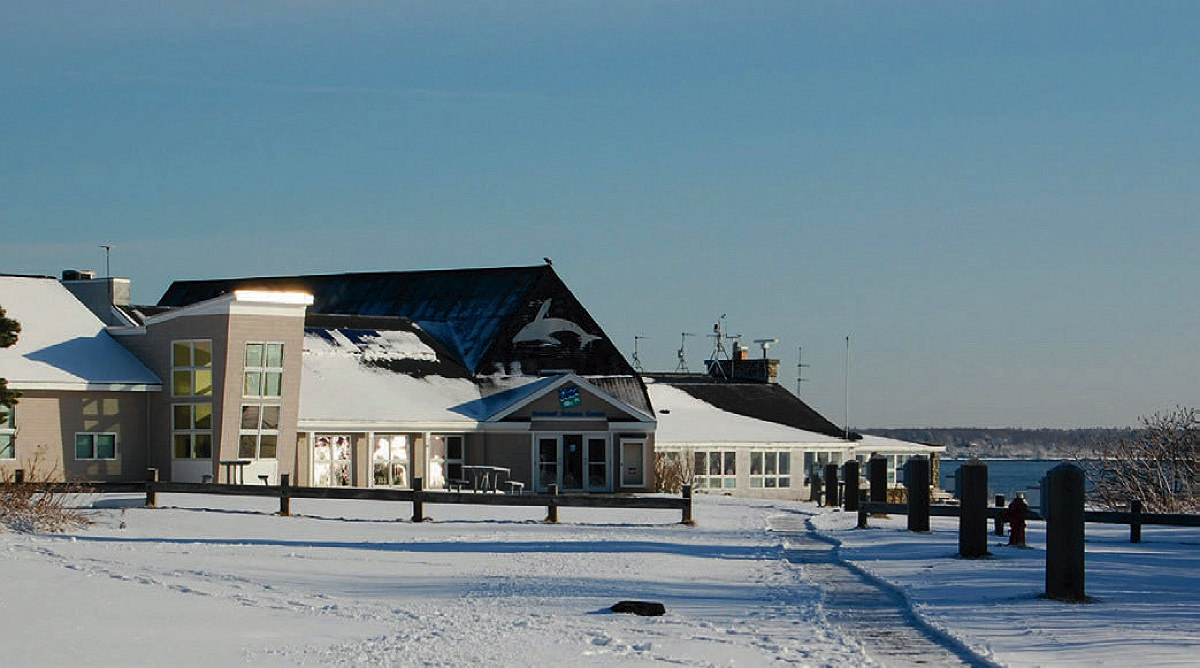 Outside the Seacoast Science Center on a snowy day 