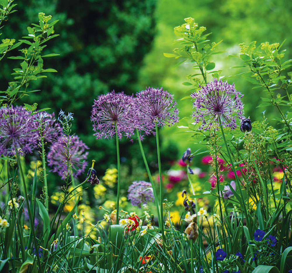 Flower garden