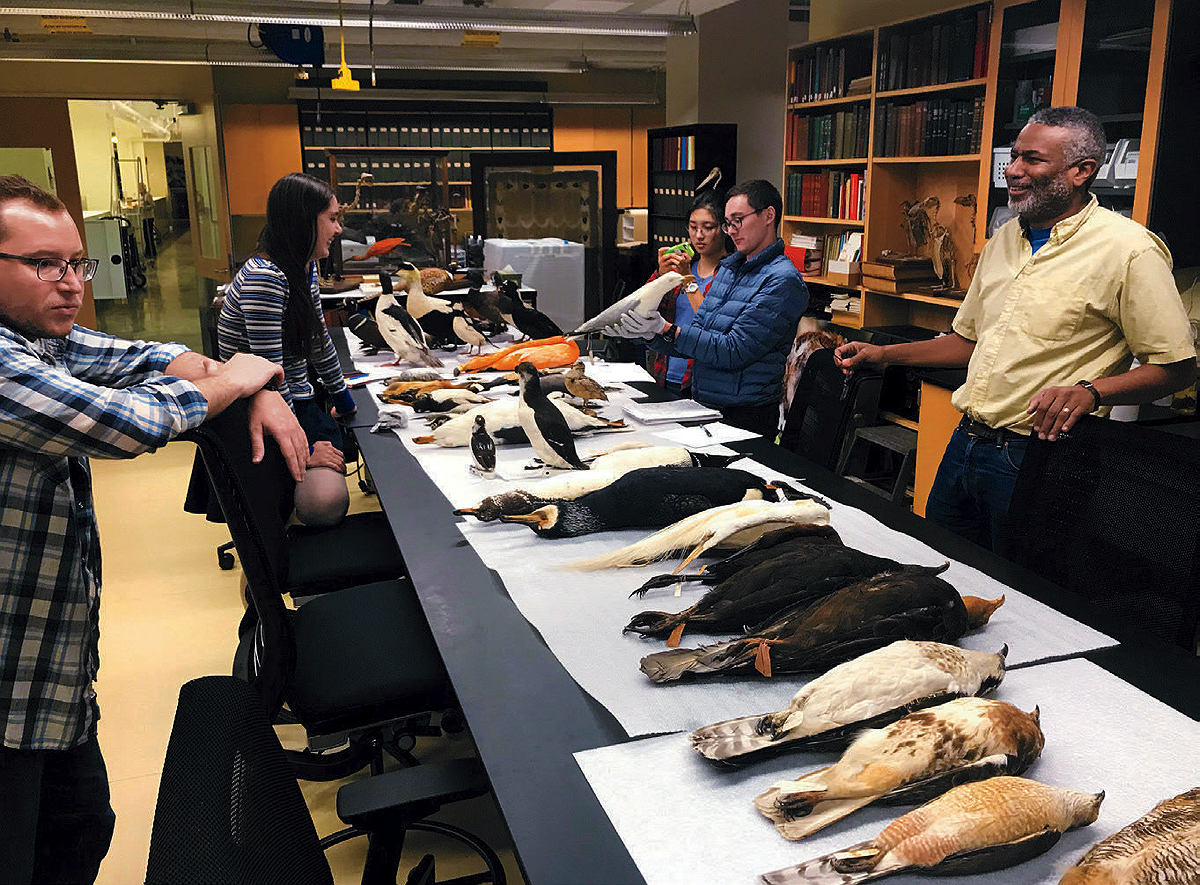 Scott Edwards with students in the ornithology collection