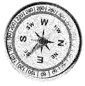 animated compass swinging