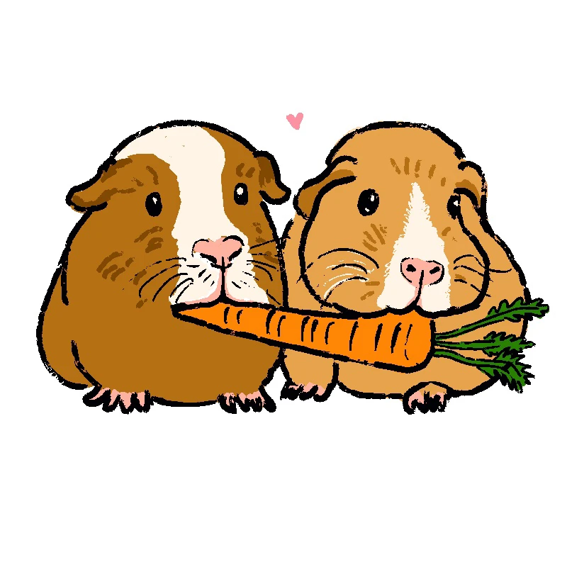 Illustration of two guinea pigs sharing a carrot
