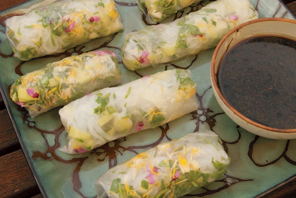 Spring rolls stuffed with redbud flowers, dandelion greens, cattail shoots, and noodles, with a bowl of soy sauce on a light blue plate