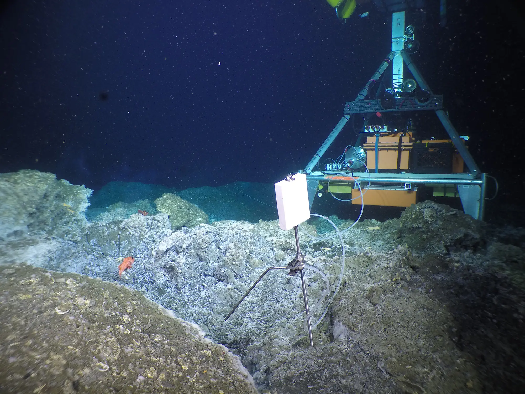 seafloor observatory that autonomously makes geochemical and microbial metabolic measurements in the deep-sea