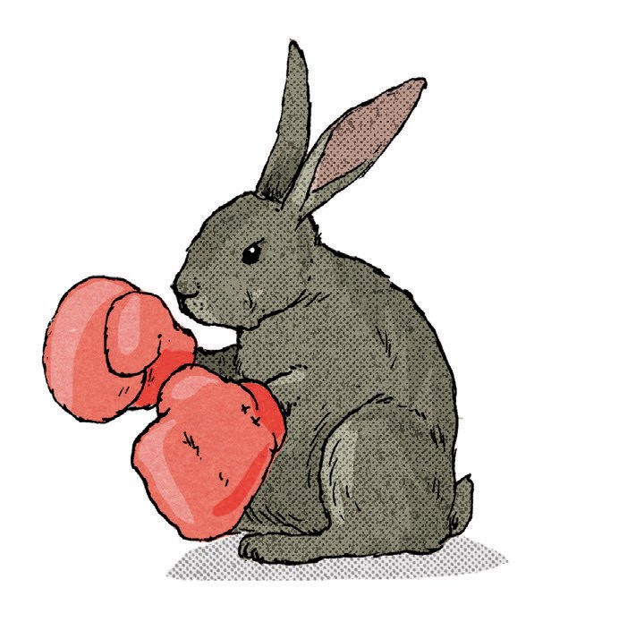 A rabbit stands upright, slightly scowling and wearing wearing red boxing gloves