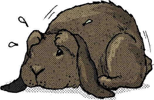 illustration of a timid rabbit hiding her face behind her front paws