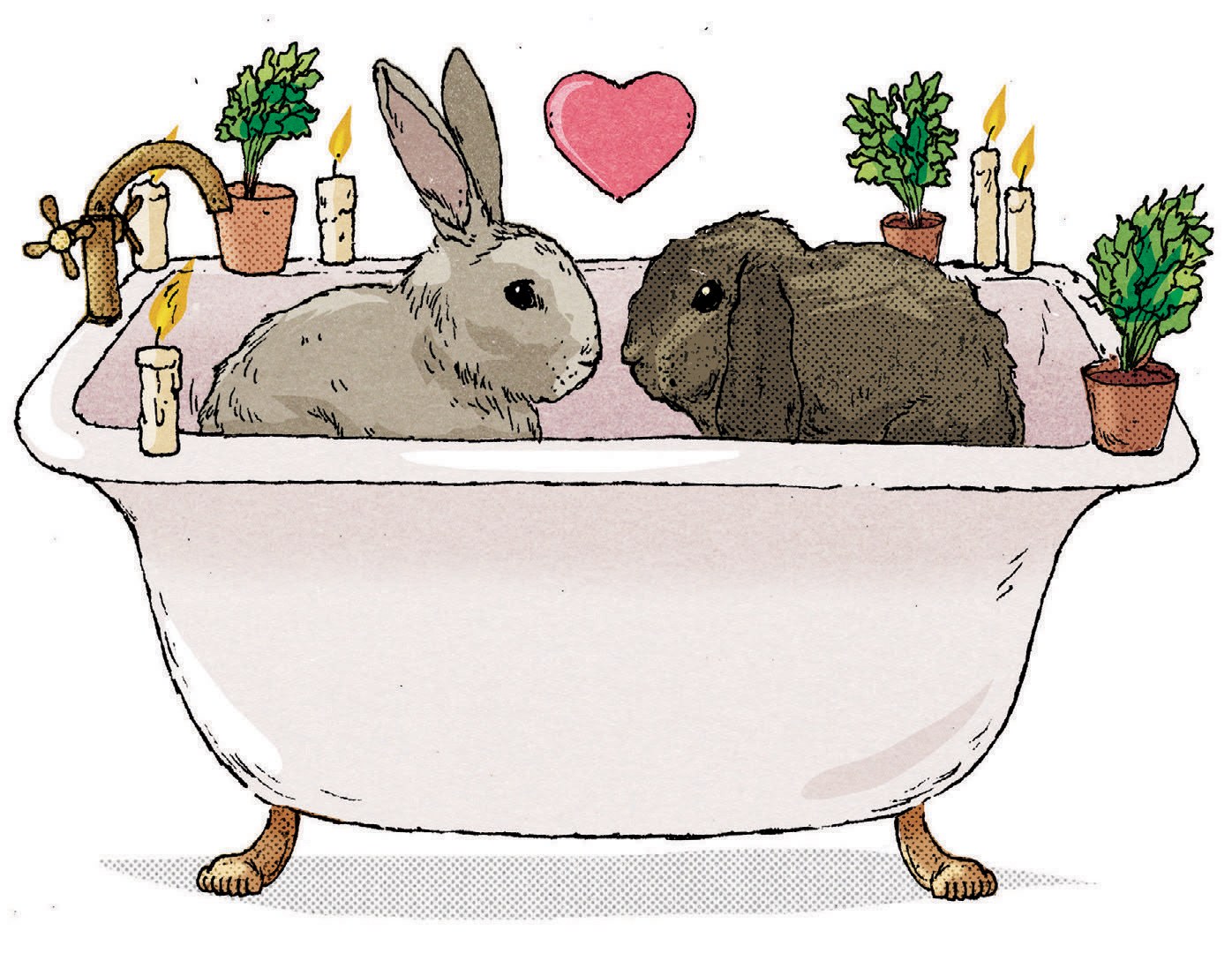 illustration of two rabbits facing each other inside a clawfoot tub, with candles and potted plants along the edges and a big heart in the air between them 