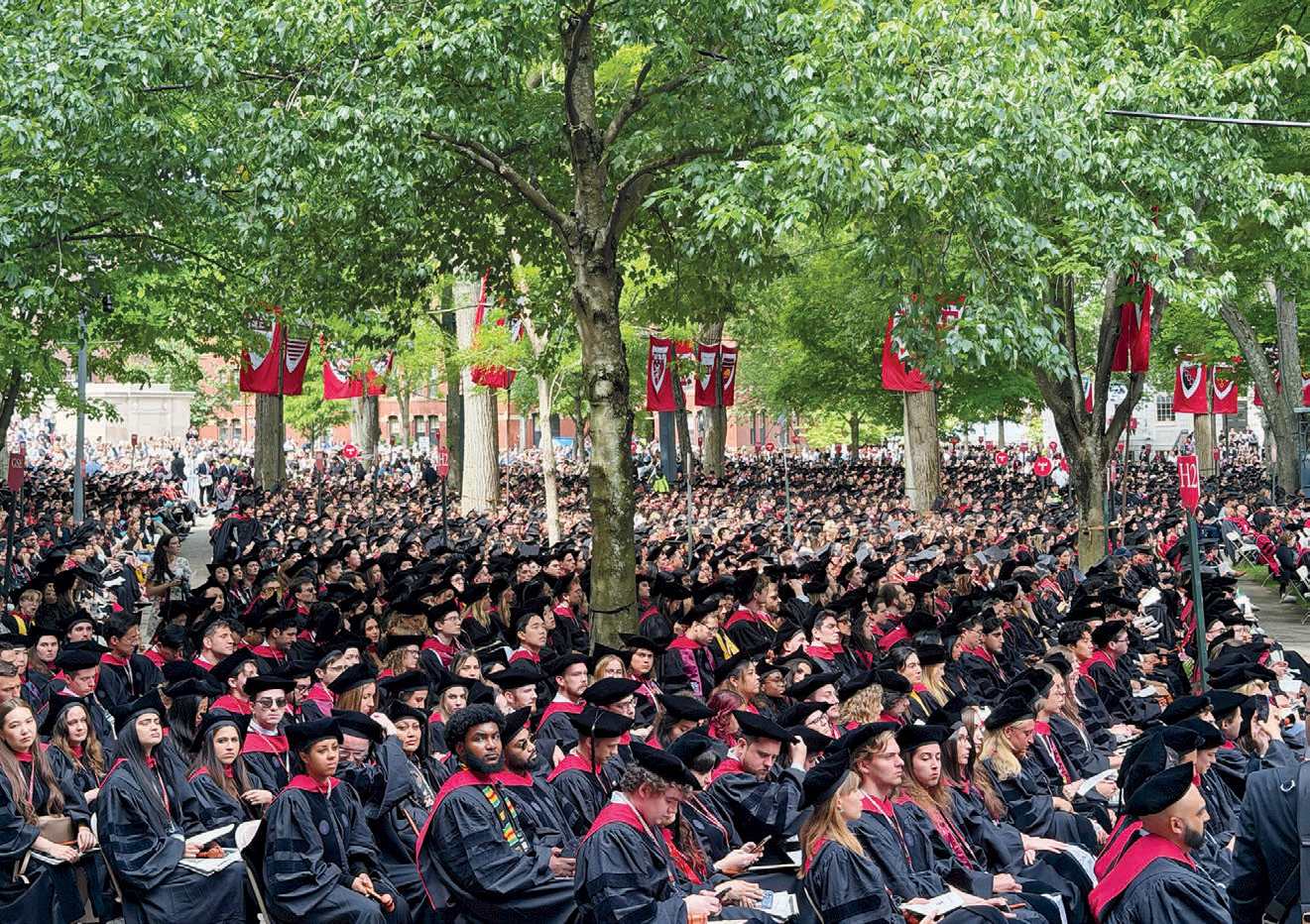 Large crowd of graduates seated beneath trees during an outdoor commencement ceremony.