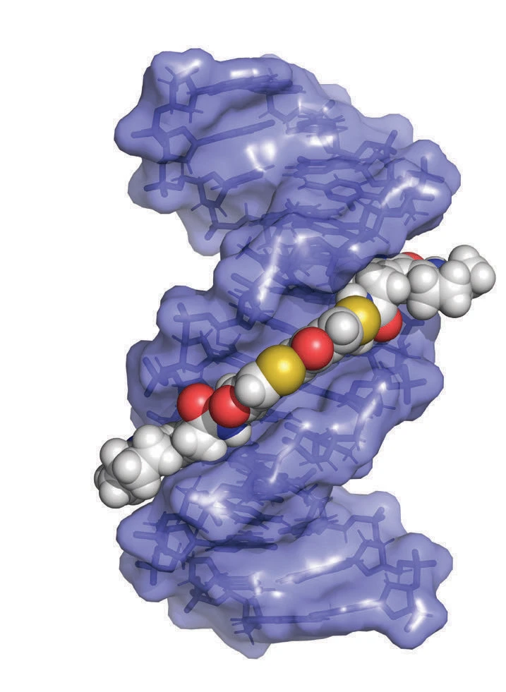 Illustrated diagram of a gut toxin made up of red, yellow, and white nodes, nestled in the groove of a DNA double-helix
