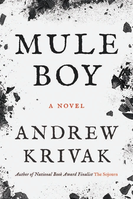 Book cover for "Mule Boy" by Andrew Krivak with scattered black debris over a white background