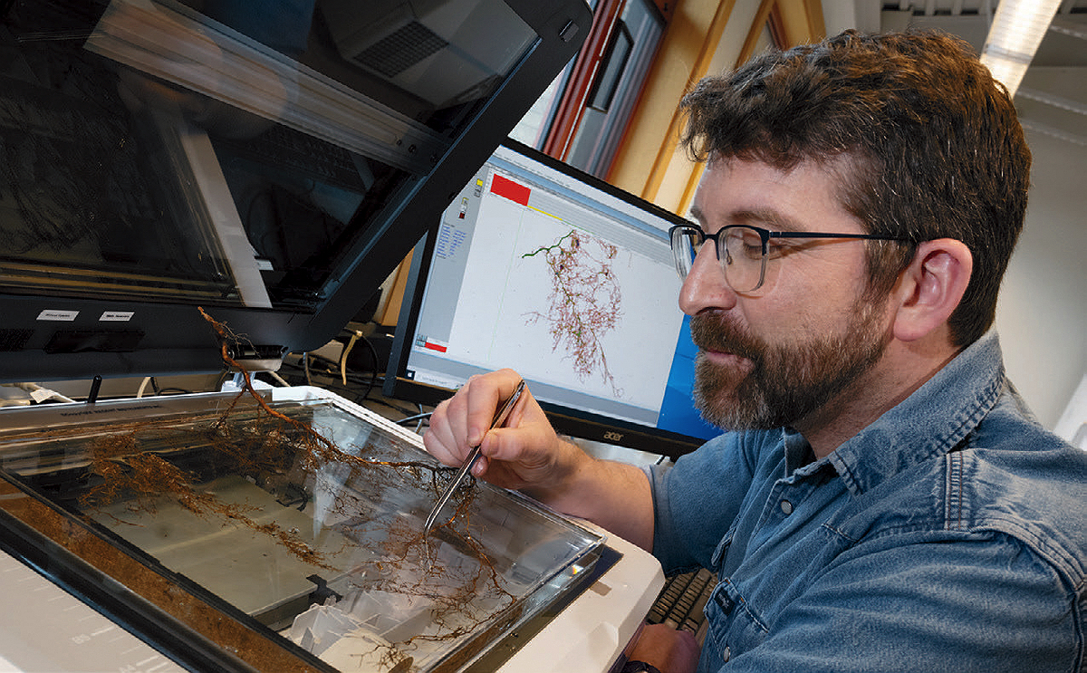 Benton Taylor preparing plant roots for scanning