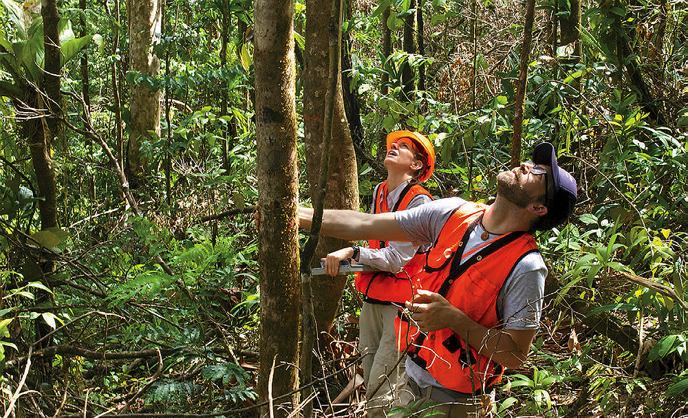 Photograph of Benton Taylor and Sara DeWalt surveying hurricane damage on the island of Dominica