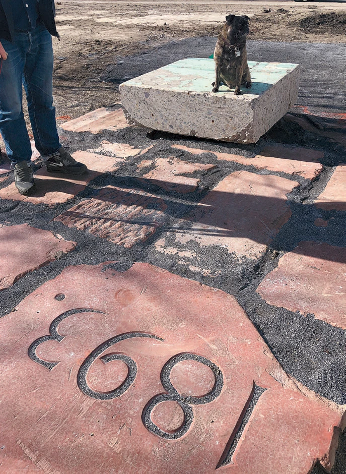 Dog sitting on a concrete bench next to engraved stone marked "1893"