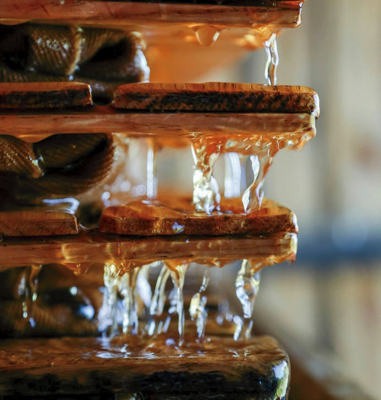 Close-up of golden cider flowing between wooden racks at Carr’s Ciderhouse.
