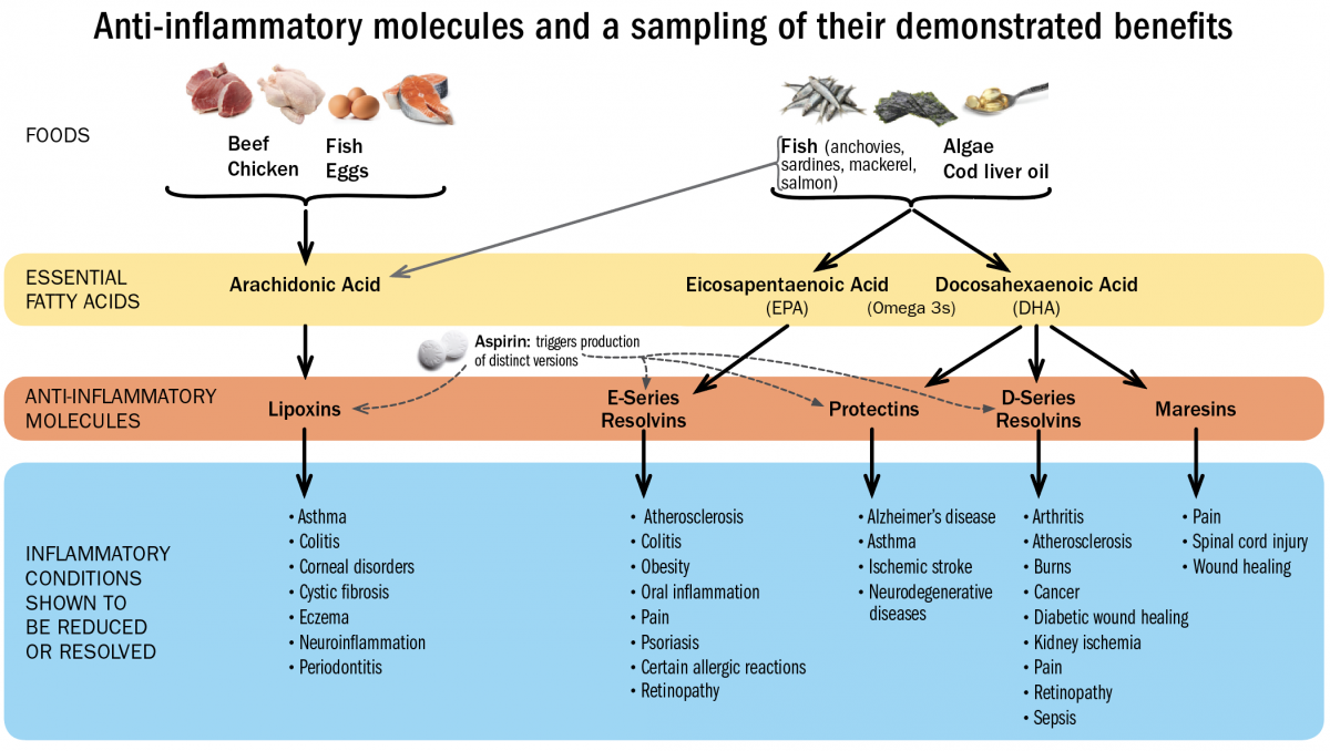 Inflammatory Foods Chart