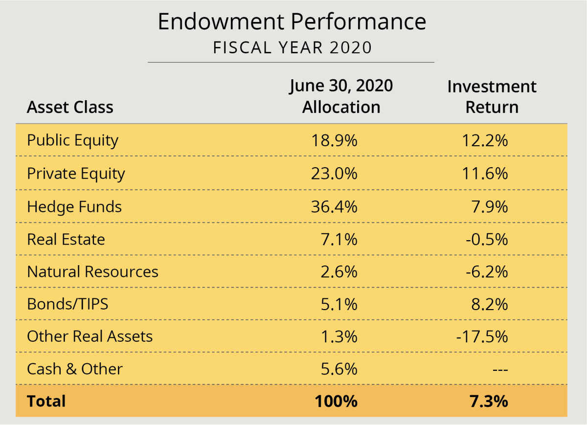 what is the endowment thesis