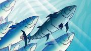 Illustration of a school of fish in which the lead fish is actually a robot