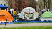 encampments in Harvard Yard