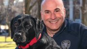 Harvard police officer Steven Fumicello poses with black Labrador retriever Sasha. 