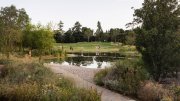 Green landscape with path in foreground leading to a pond and grassy open area. 