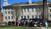 tents in Harvard Yard 