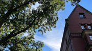 A building on Harvard's campus pictured with a blue sky