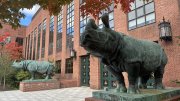 exterior of the The Harvard University Bio Labs, with two rhino statues in front of the entrance