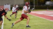 Harvard player #81 runs with the ball towards the end zone with Cornell player #9 in pursuit
