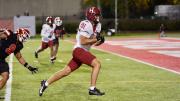 Harvard player #81 runs with the ball towards the end zone with Cornell player #9 in pursuit