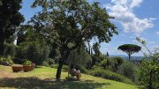 Person seated under a tree in a garden with a view of distant hills and a blue sky.