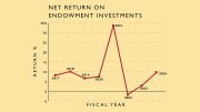 Line graph showing net return on endowment investments from 2017 to 2024, peaking at 34% in 2021, dropping sharply in 2022, and rebounding in 2024.