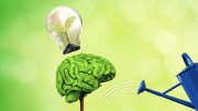 An image of a "brain" being watered, and an idea "coming out" or growing