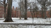 Harvard Yard with snow in the foreground